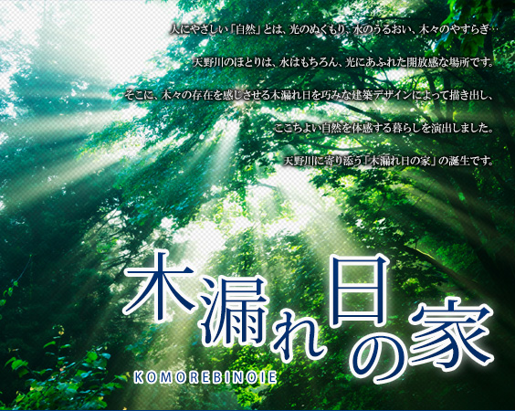 木漏れ日の家