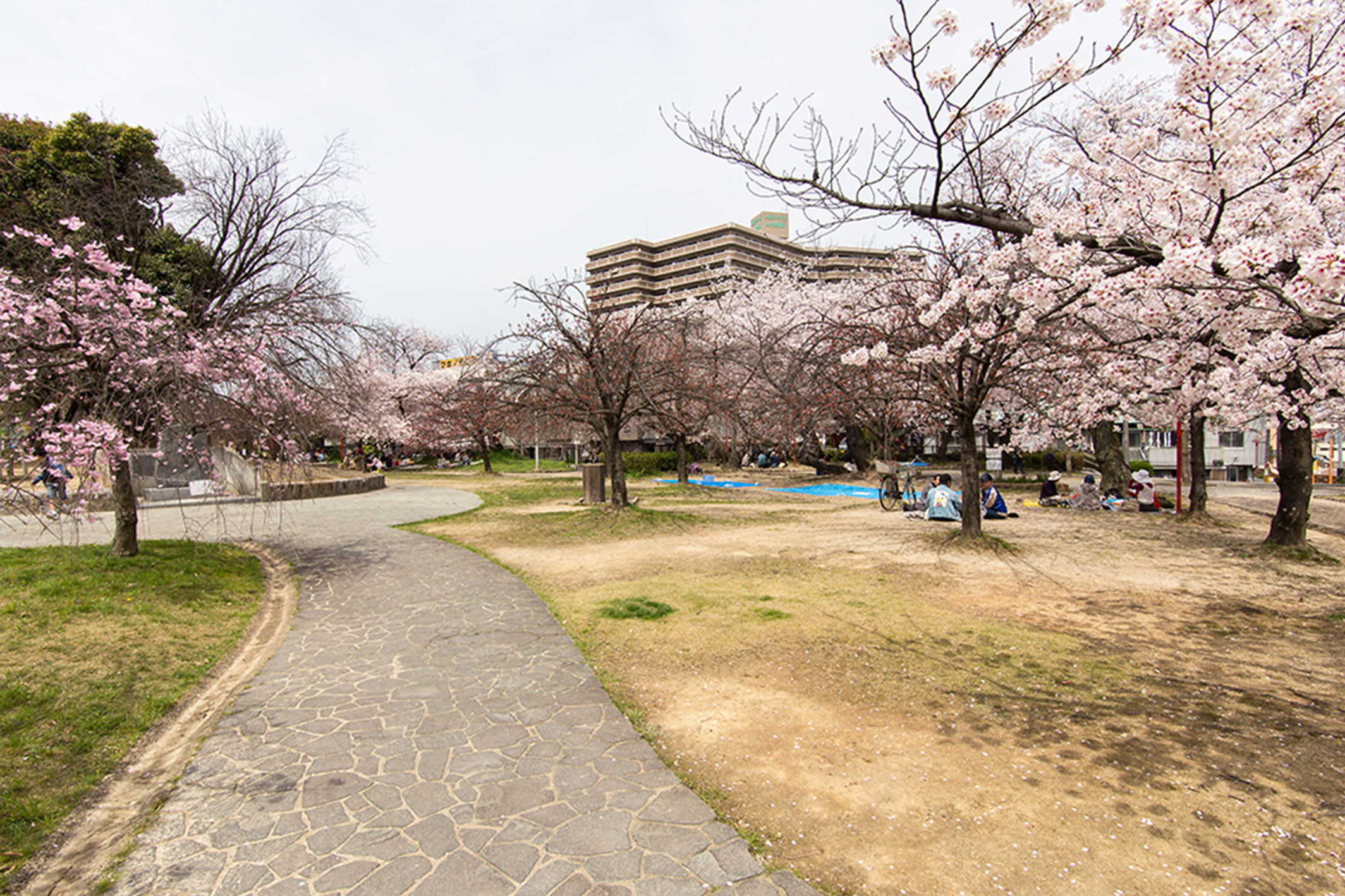 牧野公園へ徒歩2分（約130m）、春にはお花見で賑わいます。