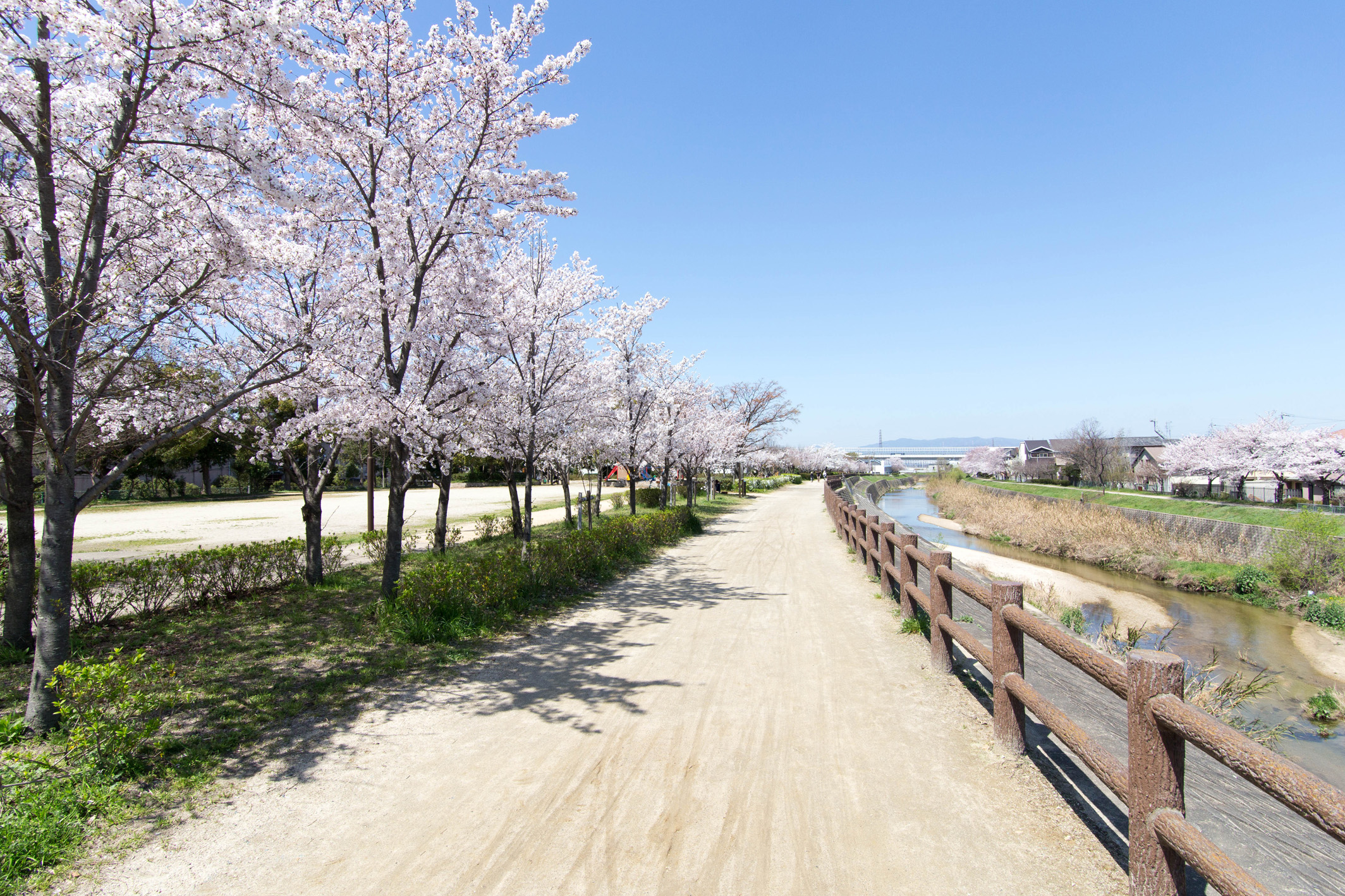 天野川力に徒歩4分。春には遊歩道に美しい桜並木が続きます。